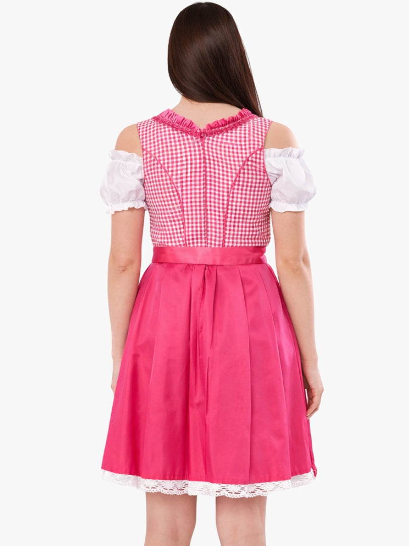Back view of women's pink dirndl dress with red gingham bodice, satin skirt, and fitted waist in traditional Bavarian style.